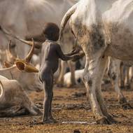 Po cestě poznával Vaňourek životy místních.