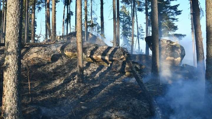 V šumavském národním parku hořelo, plameny likvidovali hasiči několik hodin