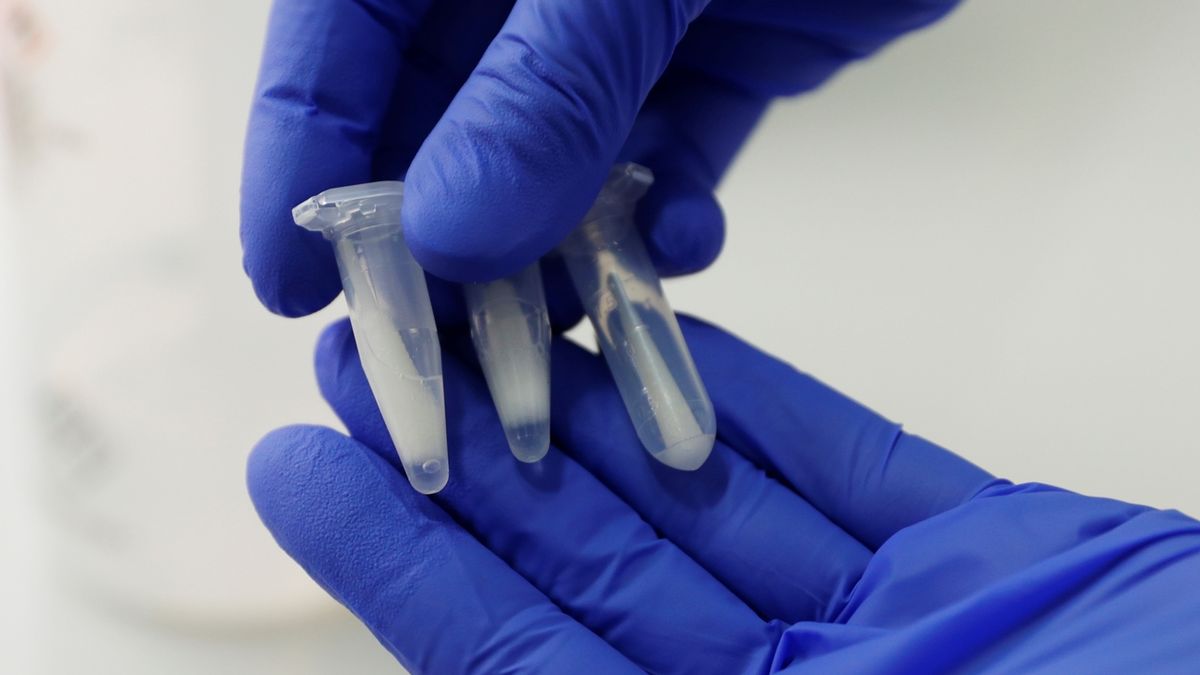 Lék na zánět jater urychluje léčbu covidu, tvrdí kanadští vědci