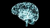 Odborníci z Univerzity Karlovy popsali proces, který může vést k Alzheimerově chorobě