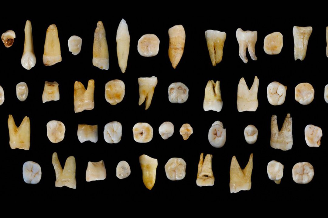 Nález 47 pravěkých lidských zubů z čínské jeskyně v roce 2015
