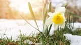 První jarní den přináší rovnodennost a oficiální konec zimy