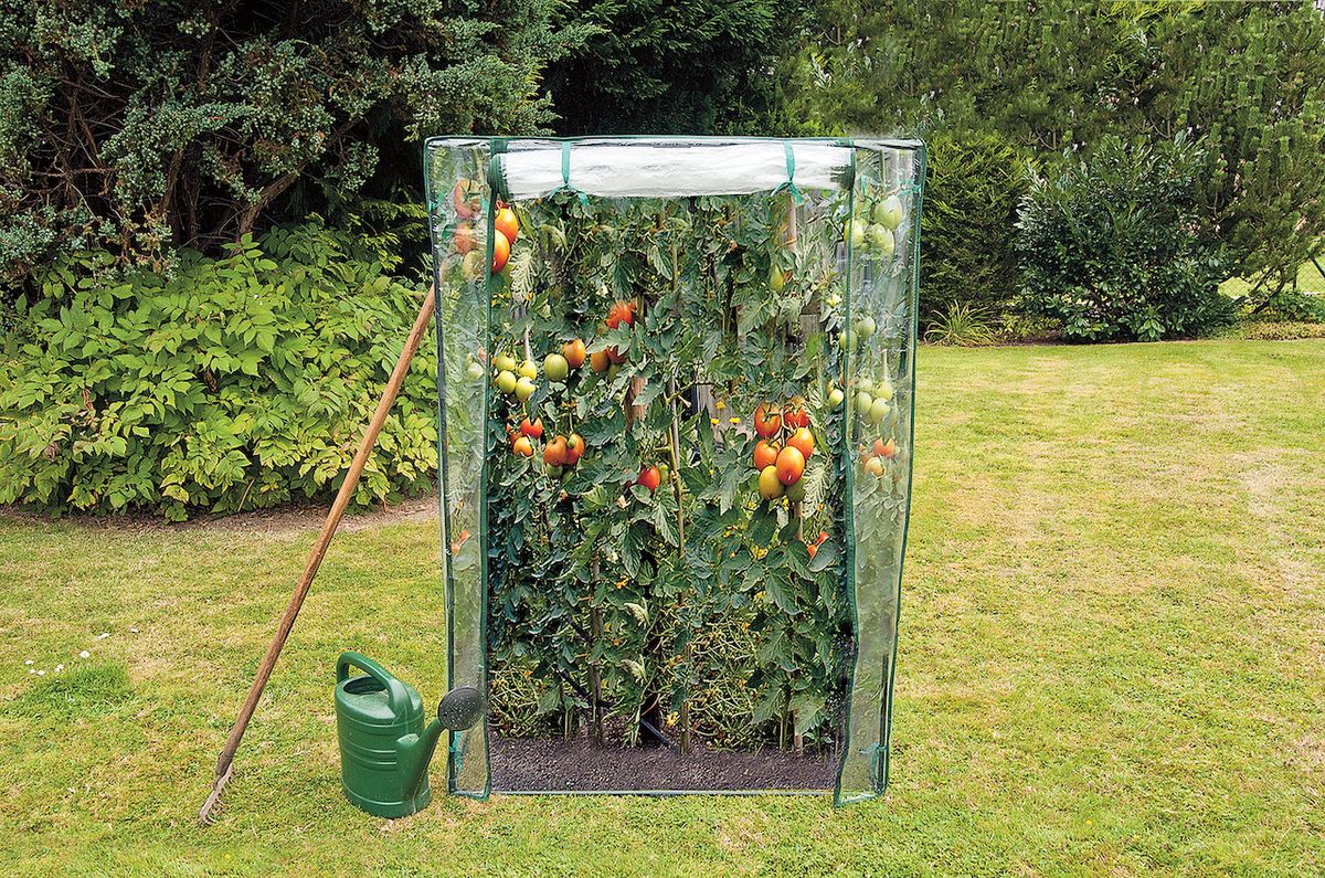 Zahradní fóliovník na rajčata má rozměr 100 x 50 x 150 cm, užitnou plochu 0,75 m2, cena 599 Kč. Jeho montáž je rychlá a snadná.