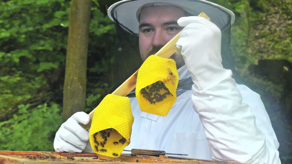 Kromě medu vyrábějí lužickohorské včely také designové lampy