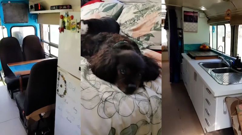 Čtyřčlenná rodina se dvěma psy žije v proměněném autobusu. Televizi zapne jednou za čtrnáct dní