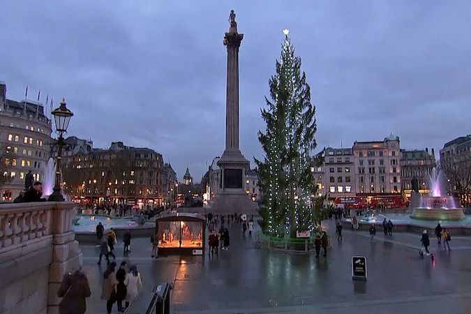 BEZ KOMENTÁŘE: 24 metrů vysoký vánoční strom, který poslalo Norsko do Londýna, sklidil kritiku