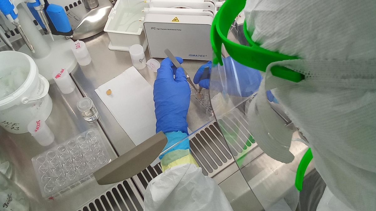 Spolehlivý výsledek za 15 minut: Čeští vědci vyvíjejí biočip s vlastnostmi antigenu i PCR