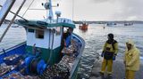 Británie má dva týdny na to, aby vyřešila s Francií spor o rybolov