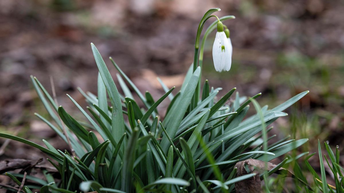 Jaro se přihlásí o slovo