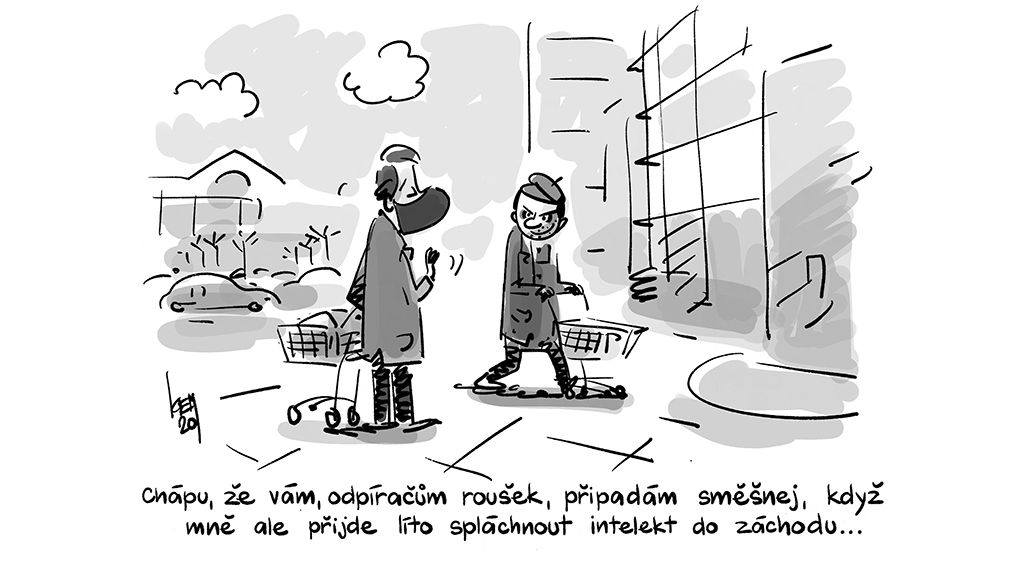 Obrázek
