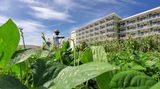 Kubánské hotely zkoušejí přilákat turisty pomocí zeleninové strategie