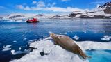 Společnost hledá dobrovolníky na vědeckou expedici do srdce Antarktidy