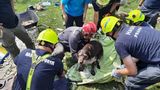 V sutinách po tornádu našli živého psa