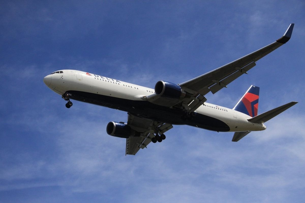 K incidentu došlo u společnosti Delta Air Lines.