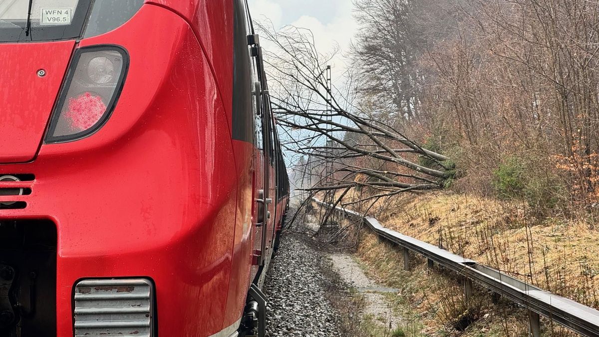 Dřevorubec poslal strom na trať. Cestující uvázli ve vlaku pod elektrickým napětím