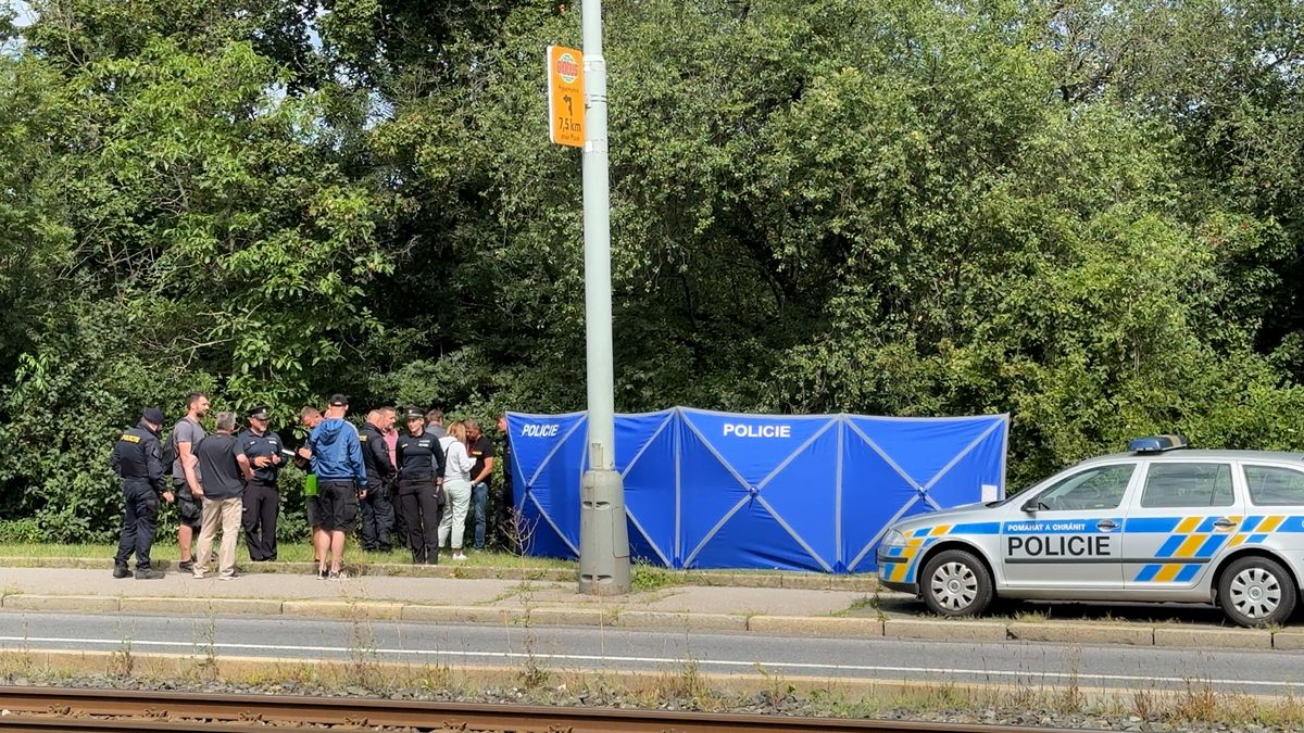 Policistu z ochranné služby, který zmizel, našli mrtvého