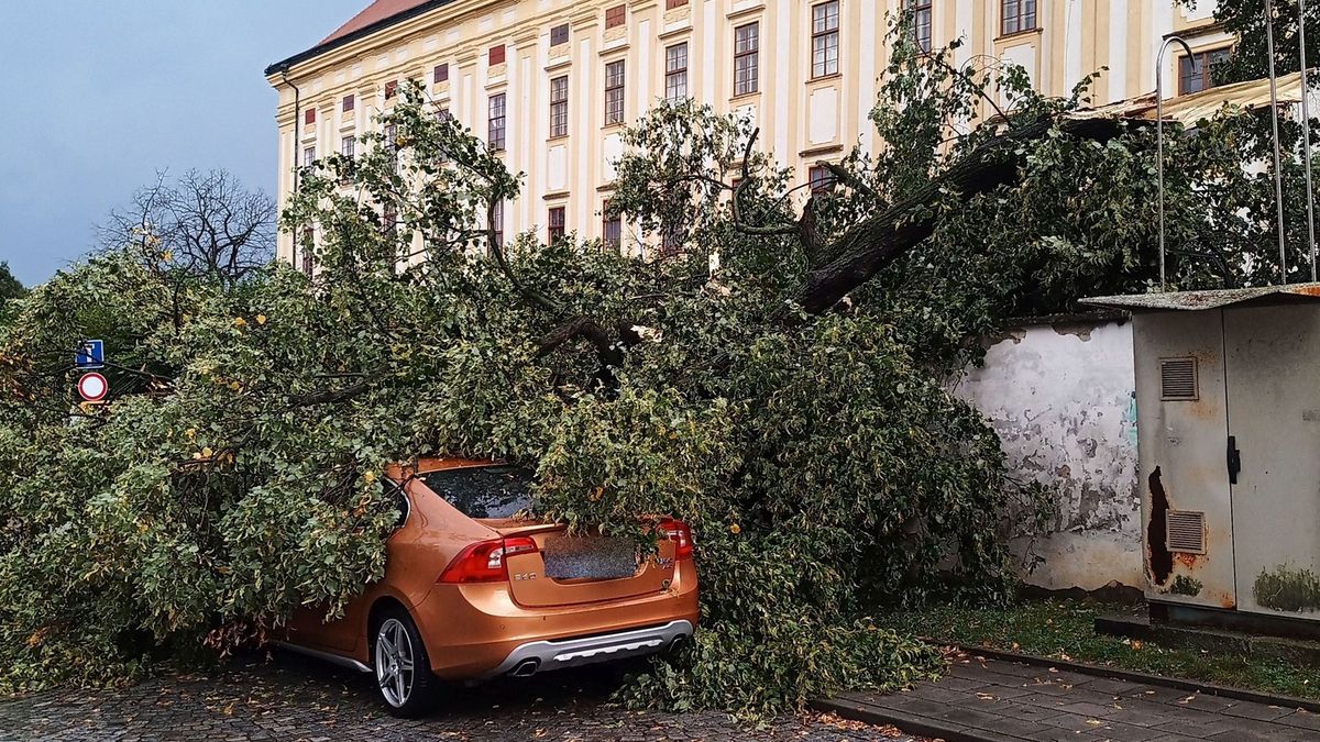 Moravou se přehnaly bouřky. Hasiči řešili popadané stromy a zatopené sklepy