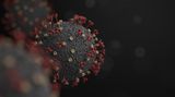 Varianta koronaviru z anglického Kentu získala mutací „superschopnost“ obelstít imunitní systém