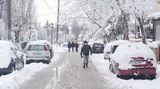 Rozmarná zima: sníh napříč planetou překvapil i zabíjel
