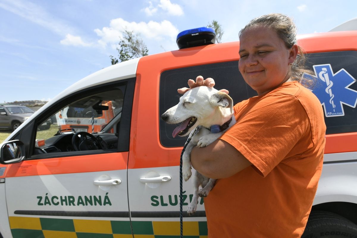 Veterinární záchranná služba v Moravské Nové Vsi na Břeclavsku