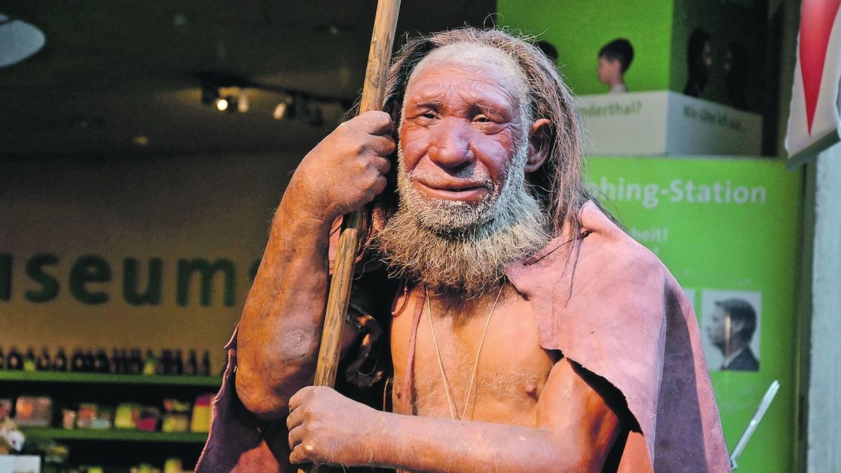 Starý bílý neandertálec z německého muzea zmizí. Ztmavne, a bude zase v pořádku