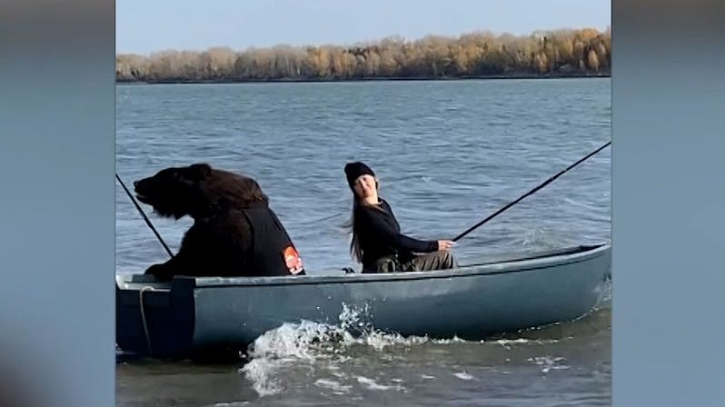 Ruska zachránila medvěda, chodí spolu na ryby