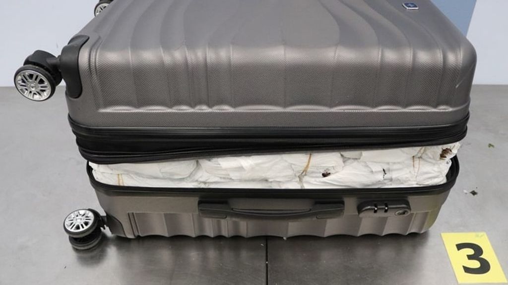 Desítky kilogramů katy jedlé měli podezřelí podle celníků ukryté v zavazadlech.