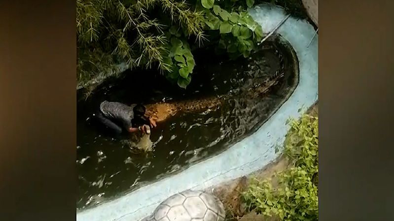 Spletl si maketu krokodýla s živým predátorem. Místo dokonalé selfie bojoval o život