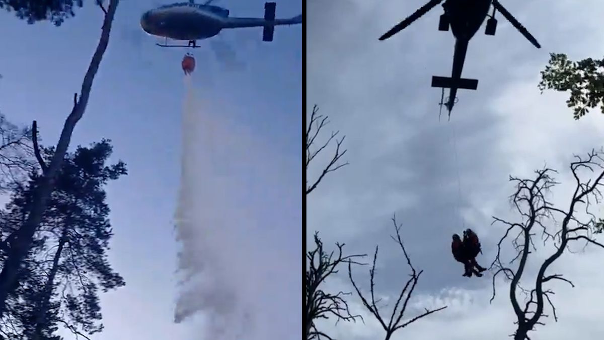 Desítky hasičů bojují s požárem lesa na Mladoboleslavsku, způsobil ho zřejmě člověk