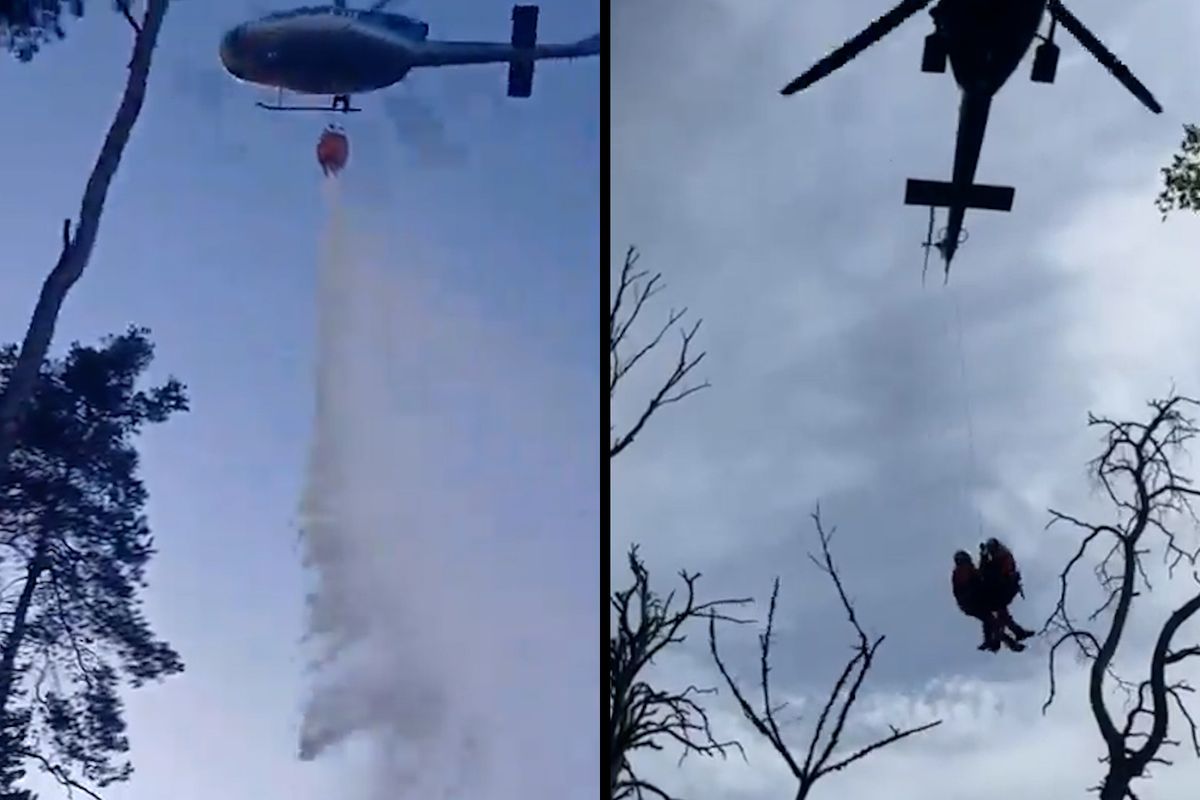 Desítky hasičů bojují s požárem lesa na Mladoboleslavsku, způsobil ho zřejmě člověk