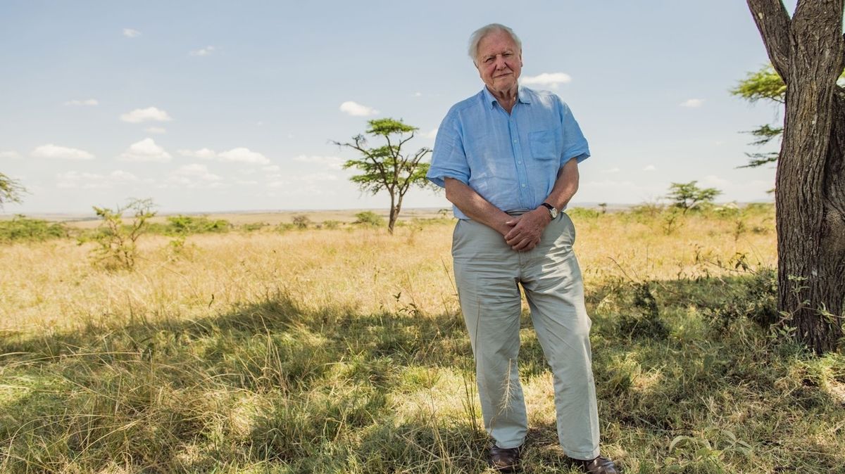 David Attenborough v dokumentárním filmu Život na naší planetě