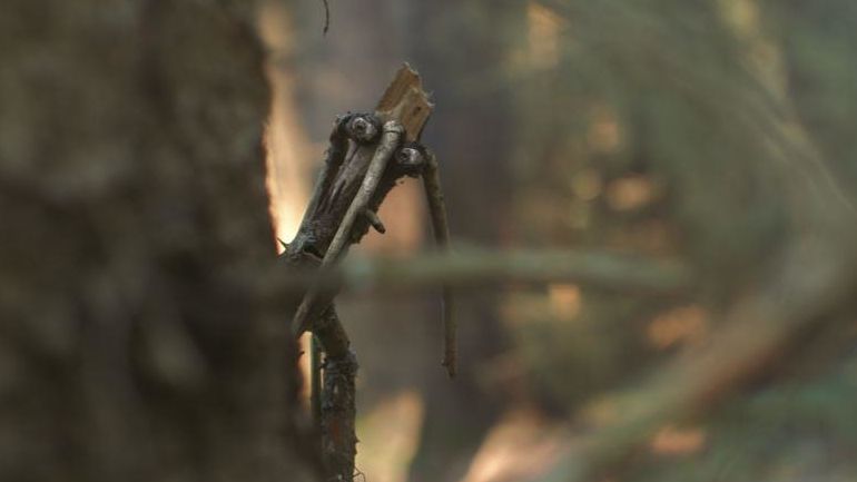 Kluk objeví lesní bytosti ve filmu Mazel a tajemství lesa