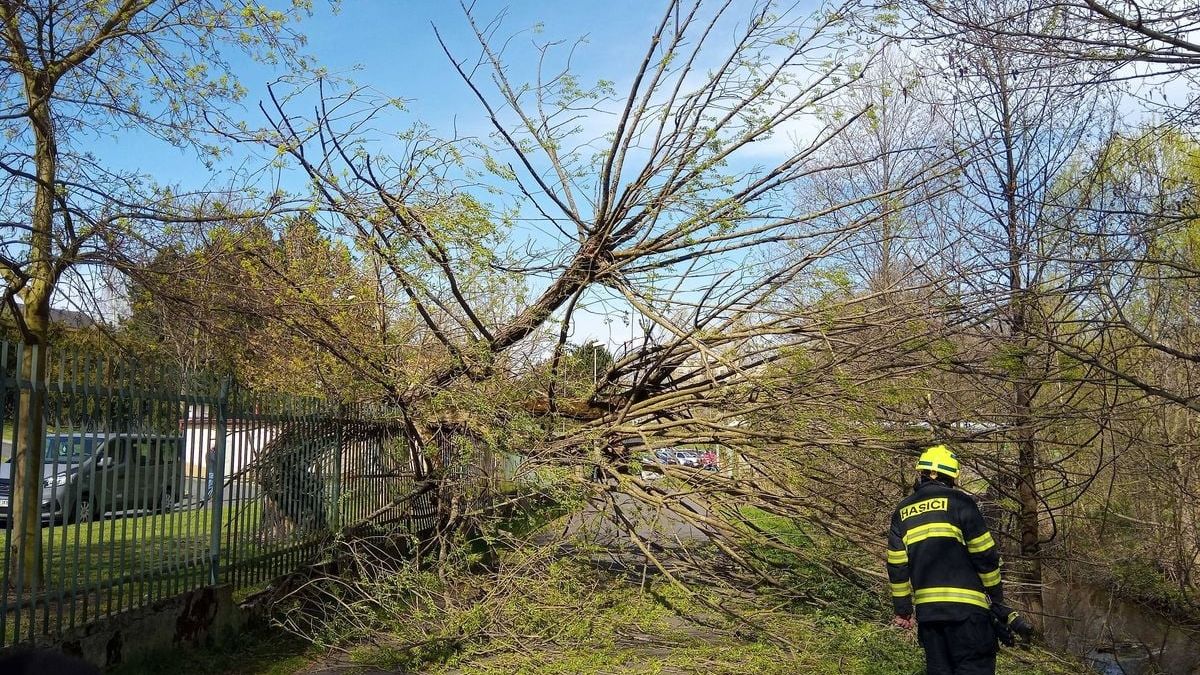 Silný vítr porážel stromy, jeden zranil matku a dítě