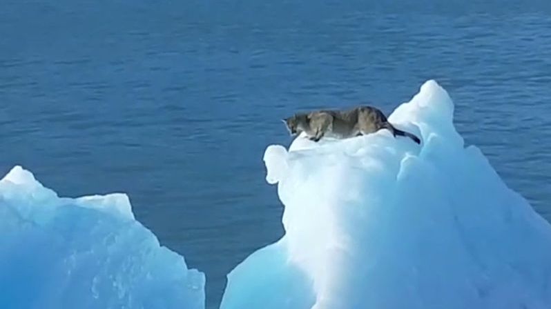 Na turisty čekalo na ledovci v Argentině překvapení