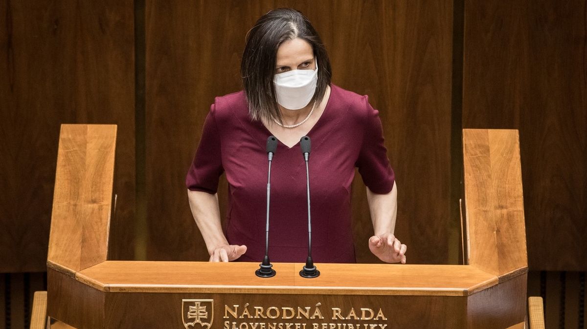 Ze slovenské vládní strany odešla ministryně a šest poslanců, dál podporují kabinet