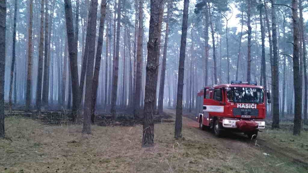Vítr na Hodonínsku rozfoukal plameny do deseti hektarů lesa