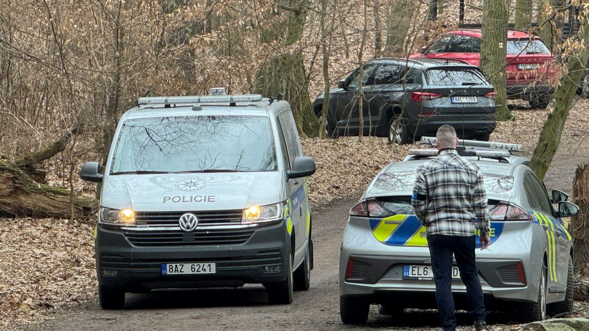 Pachatel brutálního znásilnění v Kunratickém lese mluvil česky. Stále uniká, policie čeká na „genetiku“