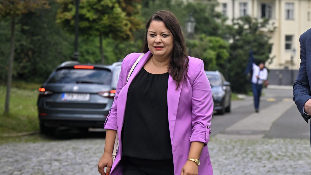 Nikola Bartůšek končí u Patriotů pro Evropu