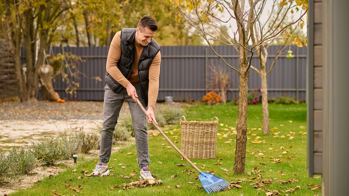 Hrabat nebo nehrabat listí? Proč je zlatá střední cesta nejlepší volbou pro vaši zahradu