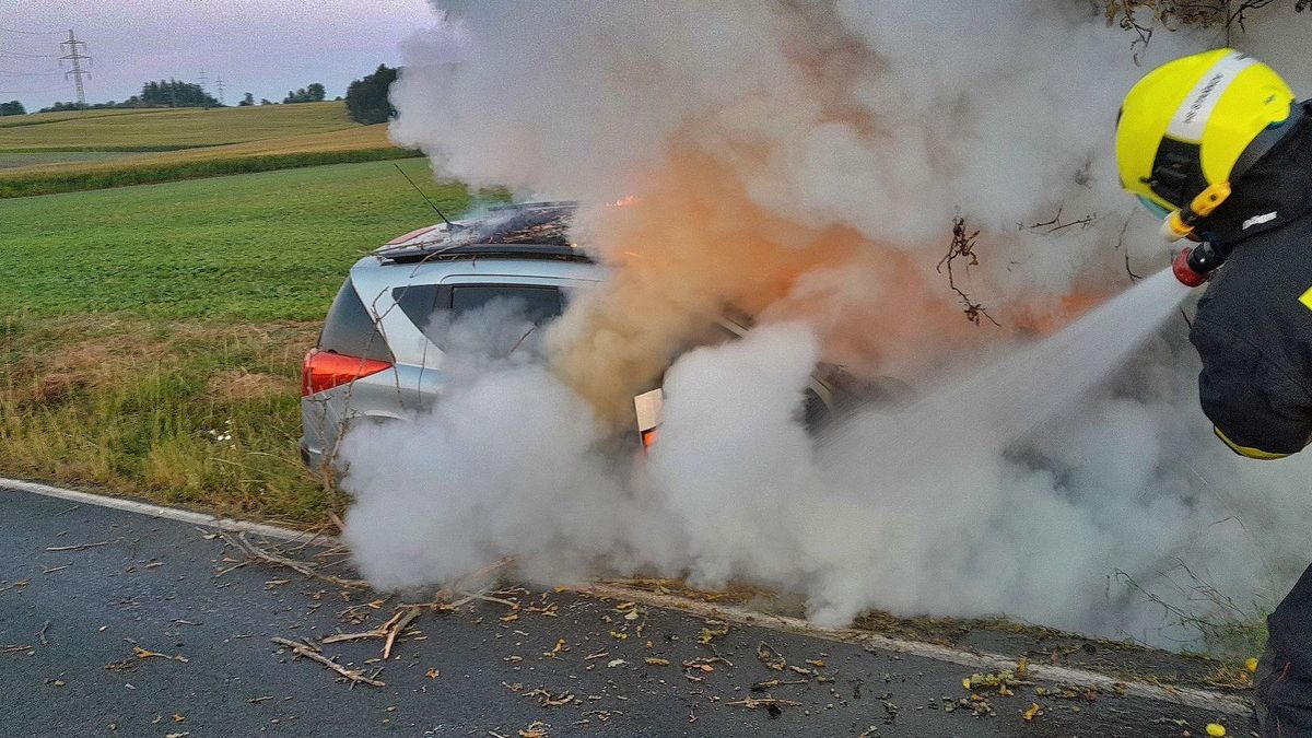 Řidič peugeotu narazil na Domažlicku do stromu. Vůz pak zachvátily plameny