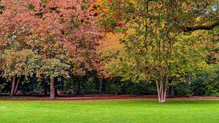 Teploty opět zamíří vzhůru