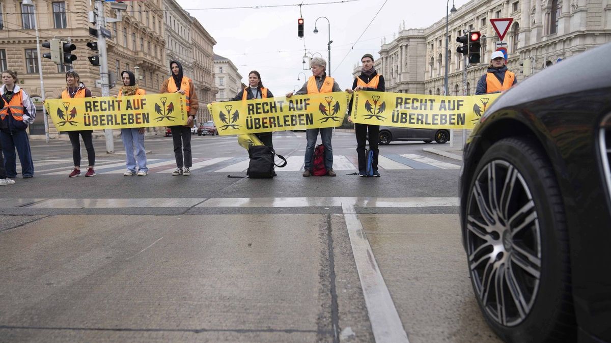 Řidiči SUV v Linci došla trpělivost a najel do klimatických extremistů. Na internetu koluje video