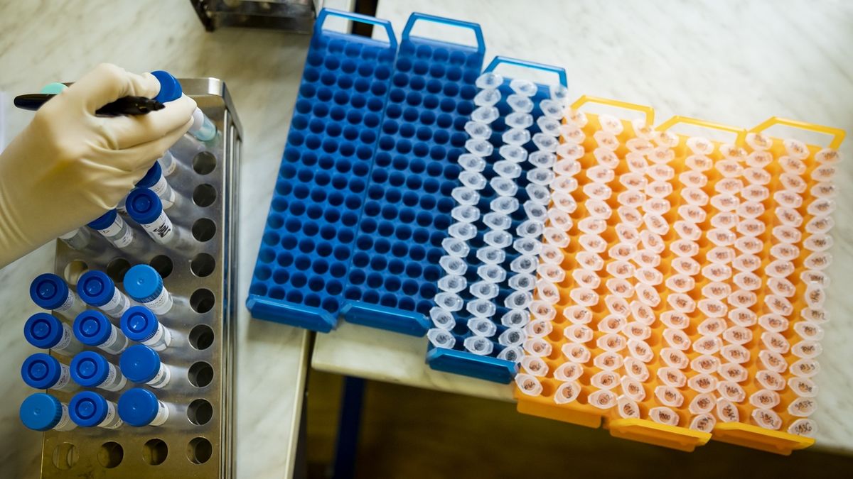 Středočeský kraj testuje část dětí ze speciálních škol PCR testy
