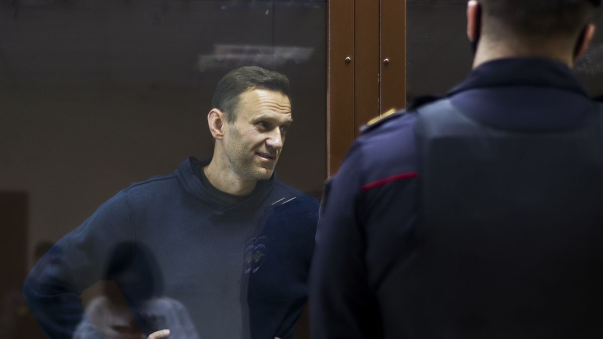 Alexej Navalnyj před moskevským soudem 
