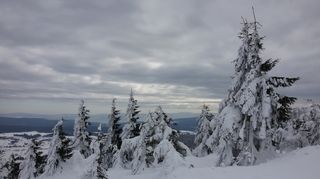 Teploty půjdou nahoru. Bude až osm stupňů