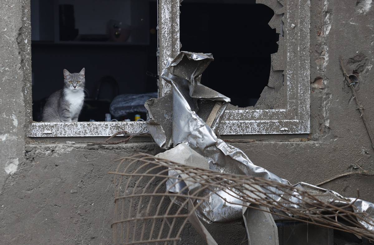 Hledali se ztracení domácí mazlíčci. Zraněná zvířata v obcích ošetřovala mobilní veterinární ambulance.