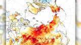 Světová meteorologická organizace potvrdila teplotní rekord v Arktidě: plus 38 stupňů