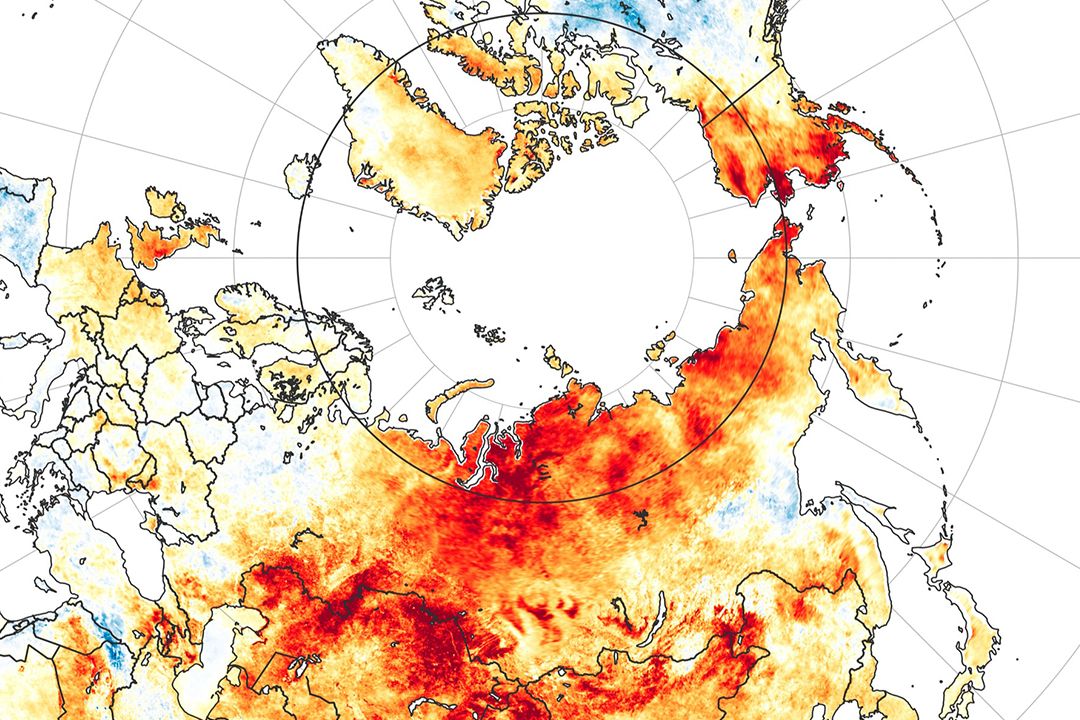 Sibiřská vlna veder na jaře 2020 podle satelitních dat. Obrázek znázorňuje teploty zejména v Rusku od 19. března do 20. června 2020 ve srovnání s průměrem z let 2003–2018 za stejné období. Oblasti teplejší než normálně jsou červené, chladnější modré.