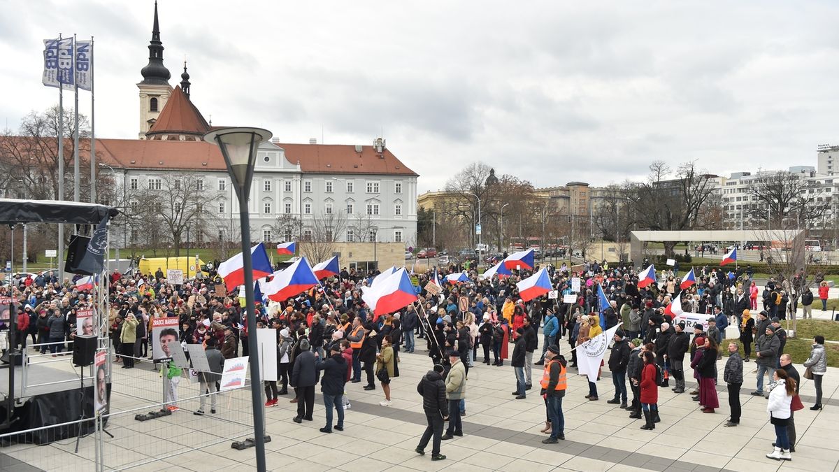 V Brně demonstrovalo osm stovek lidí proti povinnému očkování