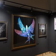 Na první dojem vznášející se ryby, při druhém pohledu neuvěřitelný svět fantazie. Takové jsou obrazy Míly Fürstové.